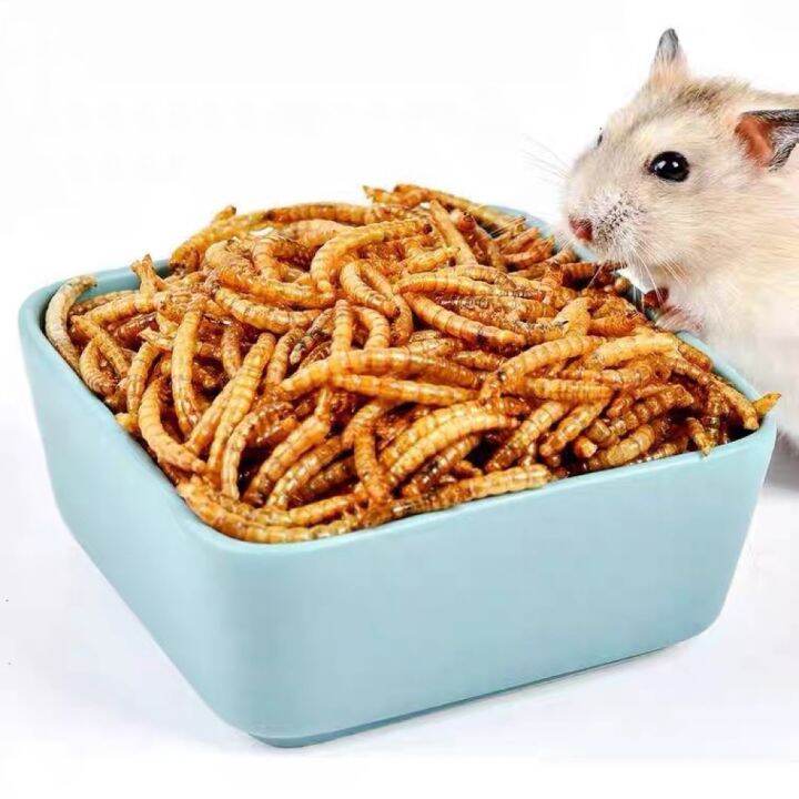 Dried Mealworm Hamster Food Hedgehog Food Treat Pet Snack Repack/ 面包虫干