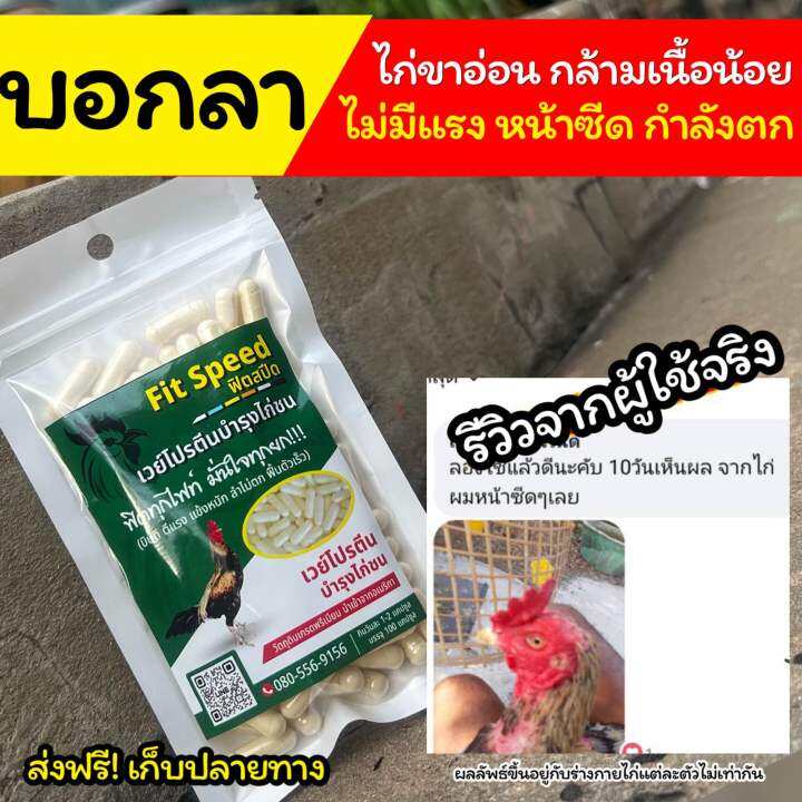 ฟิตสปีดเวย์โปรตีนไก่ชน5-2