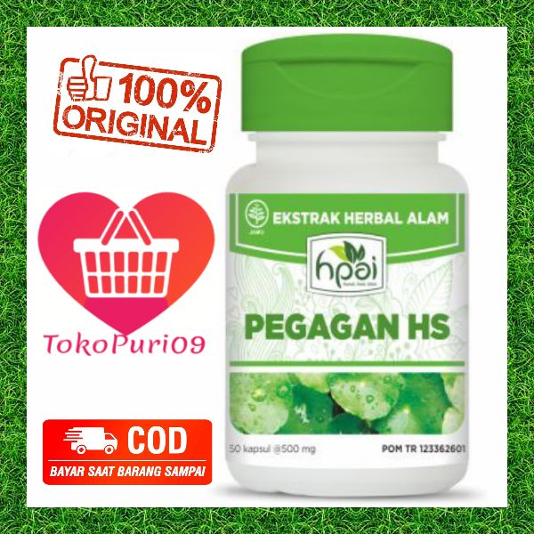 Pegagan HS Kapsul Herbal Kesehatan Hni Hpai Lazada Indonesia