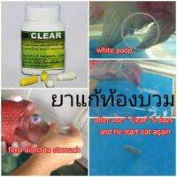 สำหรับปลาป่วยกำจัดโปรโตซัว