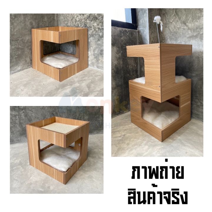 คอนโดแมว-cat-condo-แผ่นรองนอน-ที่นอนแมว-ของเล่นแมว-บ้านแมว-กล่องแมว-เบาะแมว-monkey