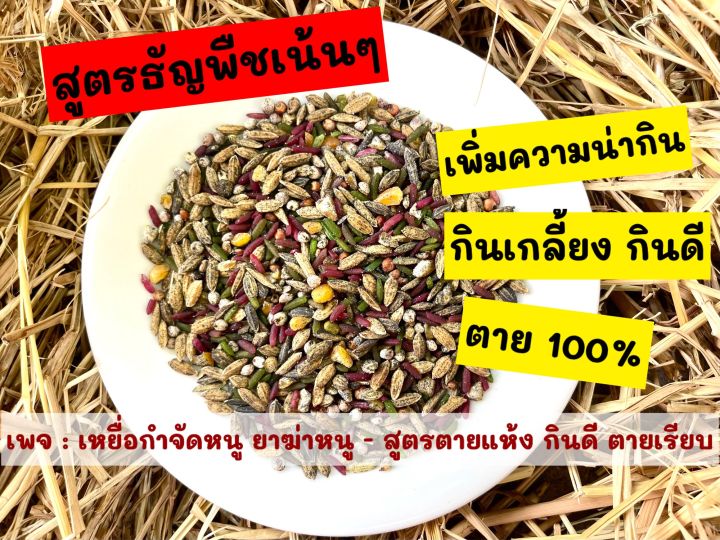 เหยื่อกำจัดหนู-ยาฆ่าหนู-ยาเบื่อหนู-สูตรตายแห้ง-กินดีตาย100-หนูซอง