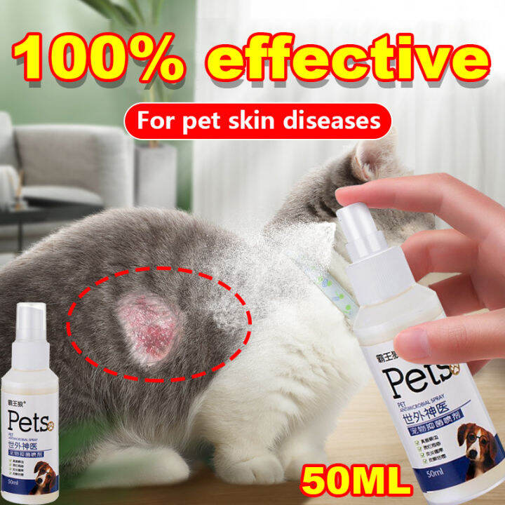 😻50ML Nontoxic💯 cat medicine cat ringworm dog ringworm fungal