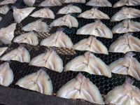 ปลาหมอเทศแดดเดียว 500 กรัม