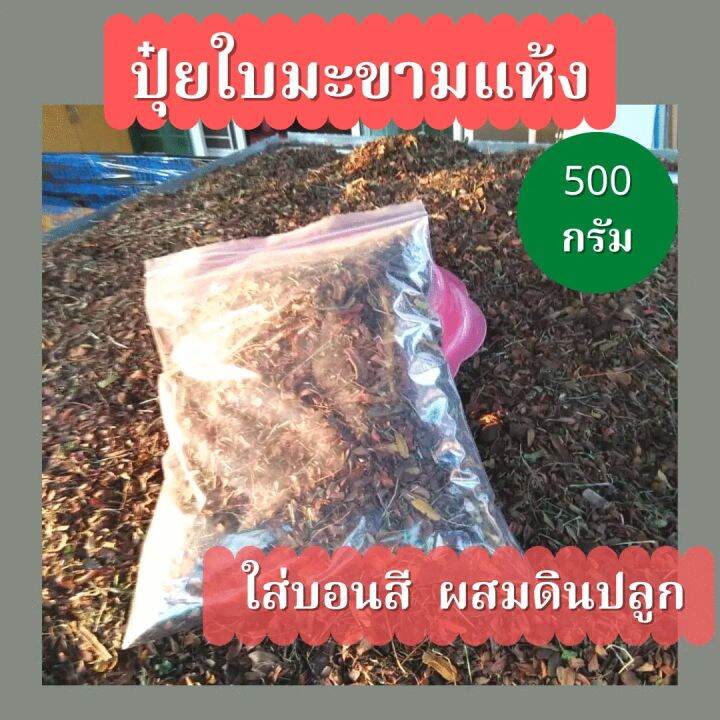 ใบมะขามเก่า-ใบมะขามเก่าผสมดินปลูกต้นไม้-ถุงล่ะ-500-กรัม