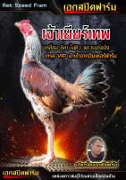 ไข่ไก่ชนสายเงินล้าน ลูกเยียร์ทองคำ