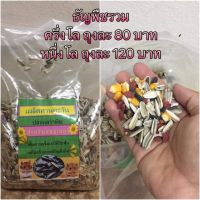 ธัญพืชรวม 500g. สำหรับหนูแฮมเตอร์ ไจแอน ดอเมาส์ ดัมโบ้ เจอบิวส์ [COD]