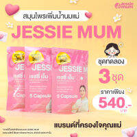 Jessie mum ชุดทดลอง 3 ชุด เจสซี่มัมสมุนไพร เพิ่มน้ำนมคุณแม่หลังคลอด ของแท้100% ชุดทดลอง 3 ชุด