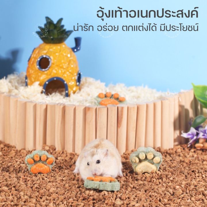 bucatstate-อุ้งเท้าลับฟัน-ขนมลับฟัน-ที่รับฟันสำหรับสัตว์เลี้ยง-แฮมเตอร์-กระต่าย-กระรอก-แกสบี้