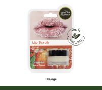 Phutawan Sugar Lip Scrub สครับปาก กลิ่นส้ม 12g. Exp.09/02/2025