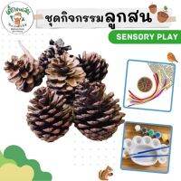 ชุดกิจกรรมจากลูกสน กิจกรรม sensory play แนวมอนเตสซอรี่ เสริมสร้างกล้ามเนื้อมัดเล็ก ศิลปะ งานประดิษฐ์