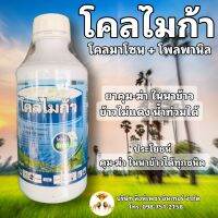 โควไมก้า โคลมาโซน + ไพรพานิล ยาคุม-ฆ่า ในนาข้าว