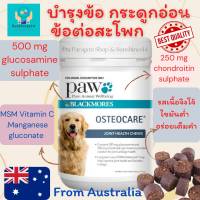 PAW By Blackmores Osteocare Joint Health วิตามินบำรุงข้อกระดูกสุนัข จากออสเตรเลีย รสเนื้อจิงโจ้ Exp.03/2024