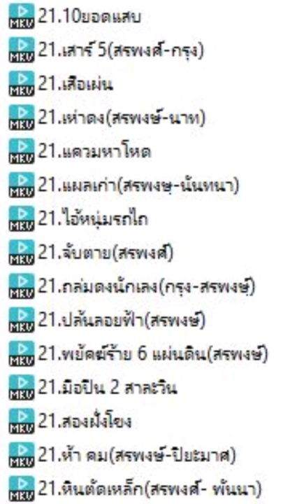 21-หนังไทยเก่า-ชุดสรพงษ์-นำแสดง-15เรื่องusb