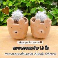 ??กระถางน้องหมี bebear pot กระถางงานปั้นงานฝีมือ งานสั่งทำค่ะ ไซร์ขนาด มินิ ใส่แคคตัสต้นเล็กๆน่ารักมากๆ ขนาด1.8 นิ้ว ?? สีตรงปก เอาไว้ปลูกแคคตัสต้นที่รักได้เลยค่ะ