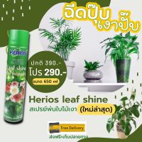 สเปรย์เคลือบใบไม้เงา กลิ่นกุหลาบ ขนาด 650 ML