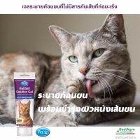 Hairball solution gel ขนาด 100 กรัม