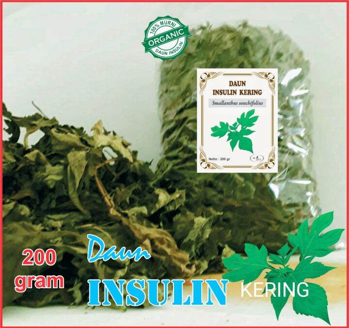 Herbal Daun Insulin Kering Gram Lazada Indonesia