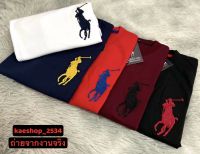 ✨เสื้อยืดPOLO?แขนสั้น ทรงตรง ผ้าคอตตอนใส่ได้ทั้งชายและหญิง Size S M L XL