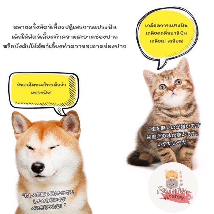 แผ่นเช็ดทำความสะอาดฟันสัตว์เลี้ยง-แปรงฟันแมว-แปรงฟันหมา-ขจัดคราบหินปูน-1-กล่อง-50-ชิ้น-59-บาท