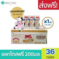 [ส่งฟรี x1ลัง]  Thai Denmark Lactosetree นมวัวแดง แลคโตฟรี  ขนาด 200มล. (ยกลัง x1ลัง รวม : 36 กล่อง )