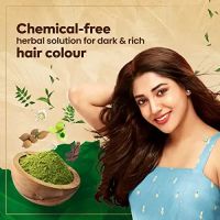 Himalaya Natural Shine Henna