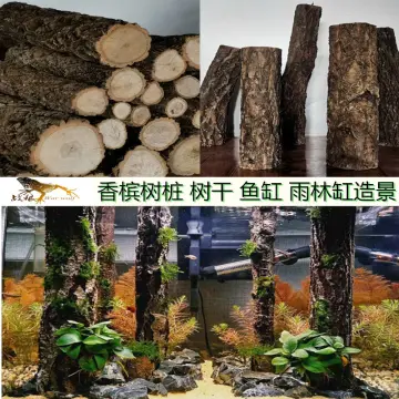 500g Fermented Pine Bark Natural Bark DIY All Kinds of Plants Pot Planting  Root Nourishing Moisture Breathable Nutrient Soil