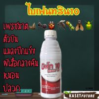 บิงโก10 ไบเฟนทริน10%W/V EC น๊อคเย็น ออกฤิทธิ์เร็ว แมลงบิน