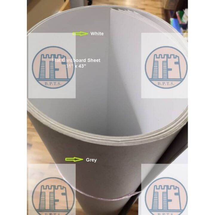 5 keping Cardboard Coated Box Board Paper with Grey Back (31x43 Inch