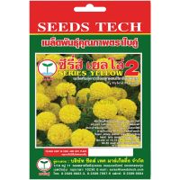 เมล็ดพันธุ์ ดาวเรือง ซีรี่ส์ เยลโล่ 2 (SERIES GOLD) บรรจุ 10 เมล็ด ดอกใหญ่สีเหลือง ให้ดอกมาก ต้นสูง แข็งแรง ไม่หักล้มง่าย ทนโรค ปลูกได้ตลอดปี