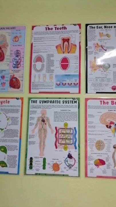 Set of 58 Charts Human Anatomy, Anatomical Charts, Internal Organs ... Biology Diagrams