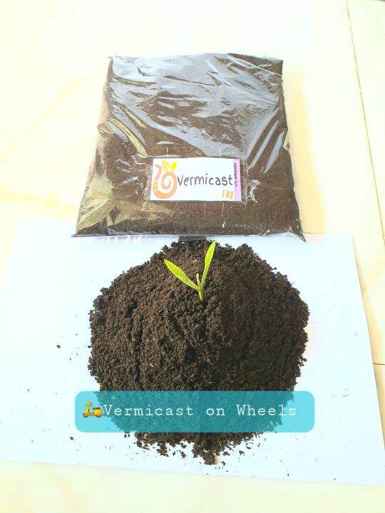 VERMICAST ORGANIC FERTILIZER | Lazada PH