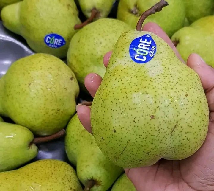 Buah Pear Pachkam Pear Jambu Segar 1 Kg Lazada Indonesia 