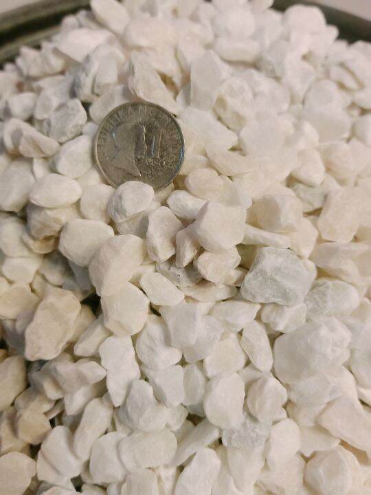 White Marble Chips 1KILO Lazada PH