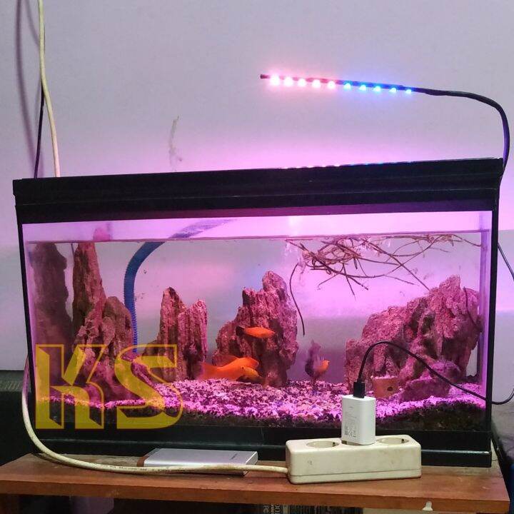 Lampu Aquarium 10 Mata Led Kombinasi Pink Biru Lampu Aquascape Lampu ...