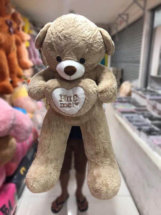 teddy bear hypoallergenic