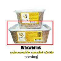 หนอนแว๊คสดกล่องใหญ่ JERRY​ WAX WORMS ส่งเร็วพิเศษ