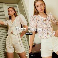 Crop Blouse