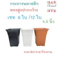 กระถางต้นไม้ 4.5 นิ้ว เซท 6 ใบ (ปากบาน)  กระถางต้นไม้พลาสติก  กระถางแคนตัส กระบองเพชร  สีดำ สีขาว สีส้มอิฐ