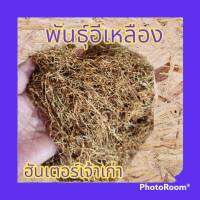 พันธุ์อีเหลือง​ ไล่แมลง​ไร้ก้าน​ 500 กรัม
