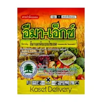 ?อีมา-เอ็กซ์? 100g อีมาเมกตินเบนโซเอต 5% กำจัดแมลง หนอนเจาะ หนอนกระทู้ข้าวโพดลายจุด หนอนกระทู้หอม หนอนผีเสื้อ หนอนหนังเหนียว หนอนชอนใบ หนอนม้วนใบ เพลี้ย เพลี้ยไฟ ไร ด้วงหมัดผัก ยาฆ่าหนอน อิมาเมกติน อีมาเม็กติน อีมาเอ็กซ์