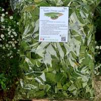 ใบเตยอบแห้ง ขนาด 500 กรัม ใบเตยหอม (pandan leaf) ผักสมุนไพรไทยอบแห้ง สินค้าพร้อมส่ง ( Herbs Fin Fin )