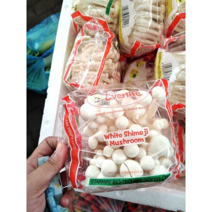 JAMUR SHIMEJI PUTIH/WHITE SHIMEJI Lazada Indonesia