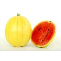 เมล็ดแตงโมเหลือง 10 เมล็ดพันธุ์ แตงโม เปลือกทองลูกยาว Long Golden Skin Watermelon .