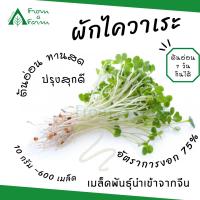 Form a Farm | ฟอร์มอะฟาร์ม  • เมล็ดไควาเระ Chinese radish 10g. ~600 เมล็ด ไมโครกรีน ปลูกต้นอ่อน ผักไควาเระ