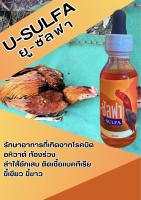 ยู-ซัลฟา แก้อหิวาต์ โรคบิด ติดเชื้อในลำไส้