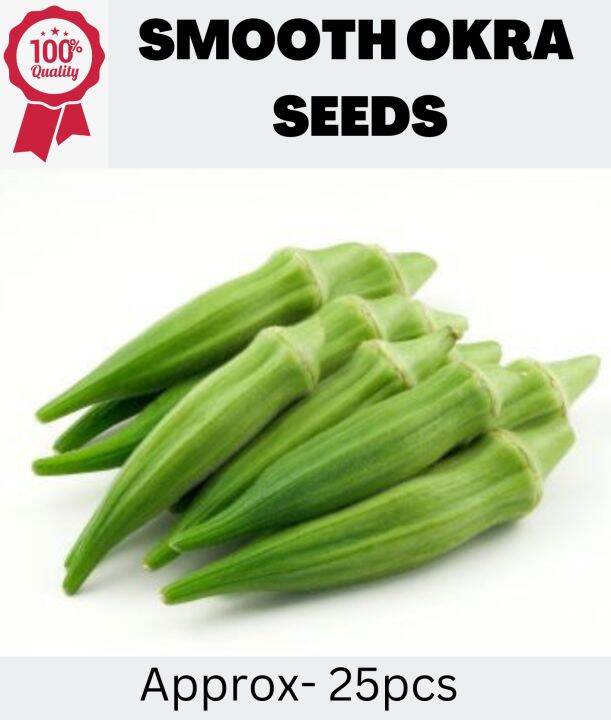 Hybrid Okra Seeds ( 25 Seeds ) 1 pack Lazada PH