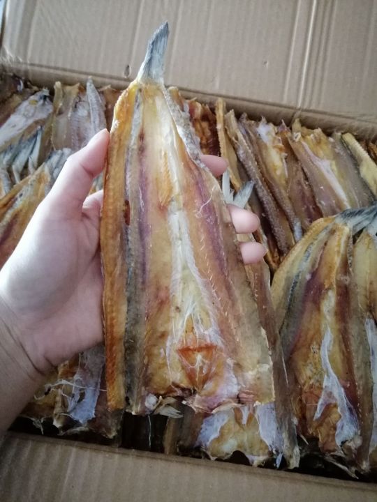 การันตีความอร่อย-ปลาช่อนทะเลแห้ง-ปลาจิโก๋-ของดี-ราคาถูก-คุณภาพจัดเต็ม-สุดคุ้ม