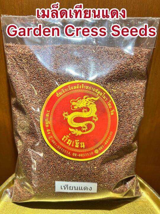 เมล็ดเทียนแดง-garden-cress-seeds-เทียนแดง-เมล็ดเทียนแดงบรรจุ1โลราคา140บาท