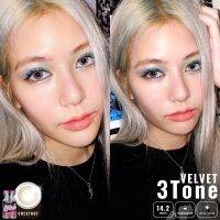 Velvet 3 Tone We contact คอนแทคเลนส์ สี Chest Nut